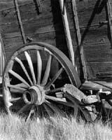 Bodie