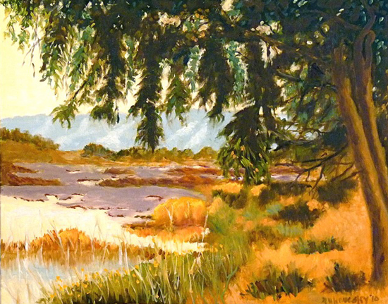 Eugene Zukowsky CA Redwood Country