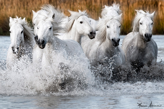 Afternoon Water Run