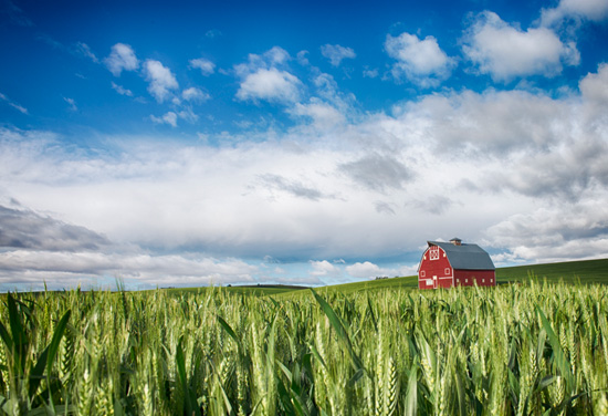 Red Barn